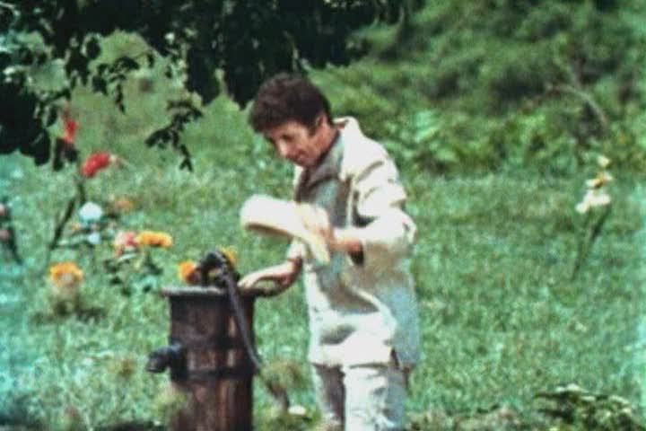 miniatura